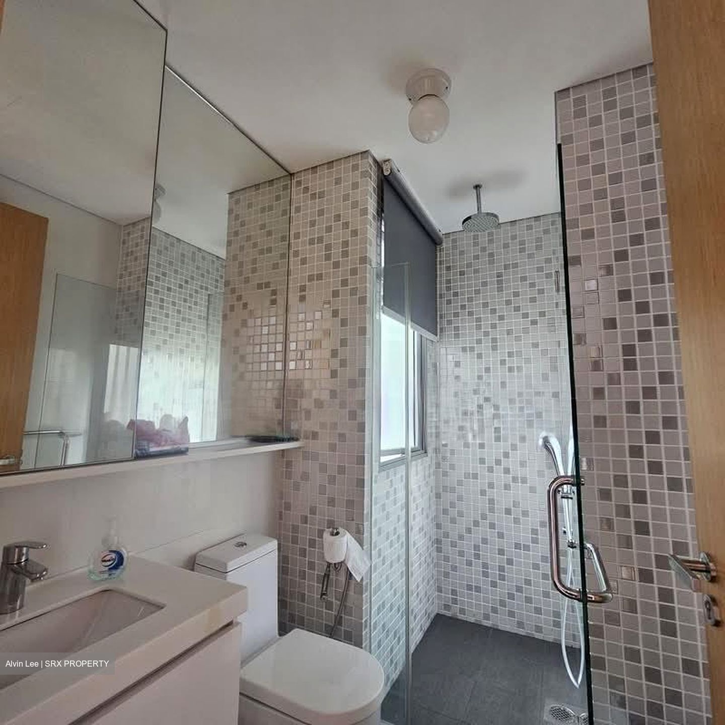 Gambir Ridge (D19), Apartment #528069021